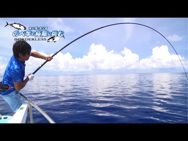 BORDERLESS GL (P model) 