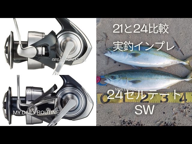 DAIWA] 24セルテートSW 6000-H [実釣インプレ] - YouTube