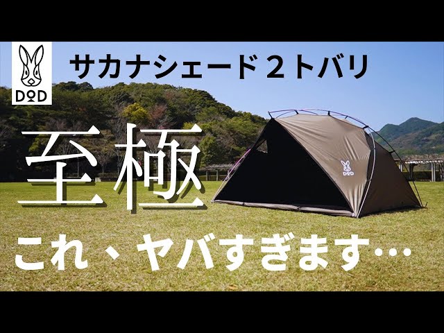 You'll be missing out if you don't check it out] The super-hit