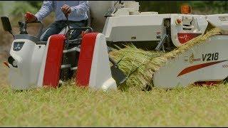 2~3条刈 とにかく操作がシンプル【コンバイン V216/V218/V318】 - YouTube