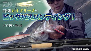 ダイワ バスロッド ブレイゾン S61ML-ST(スピニング グリップ