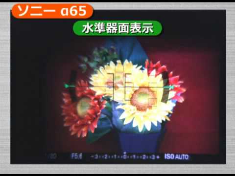 ソニー α65(カメラのキタムラ動画_Sony) - YouTube