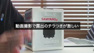続編②】購入待って！！ SAMYANG AF 12mm F2 E 露出のチラつきの件 ZV