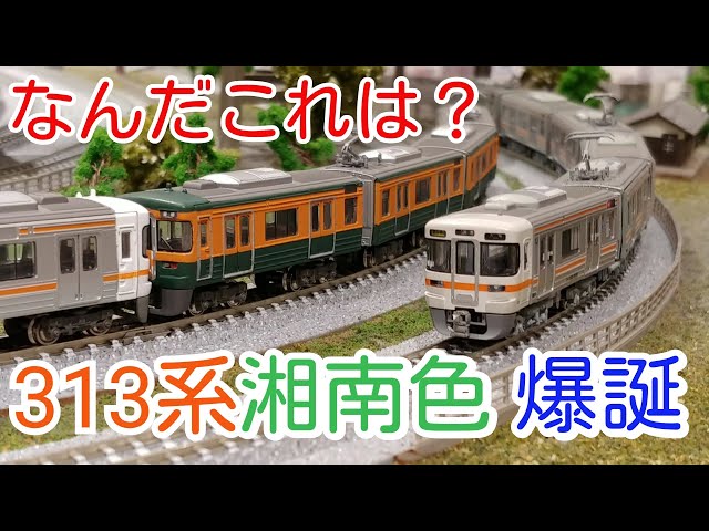 Bトレ】313系湘南色(Bパラ) - YouTube