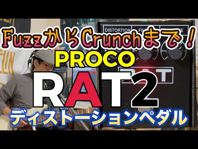 From fuzz to crunch! A review of the PROCO RAT2, a distortion