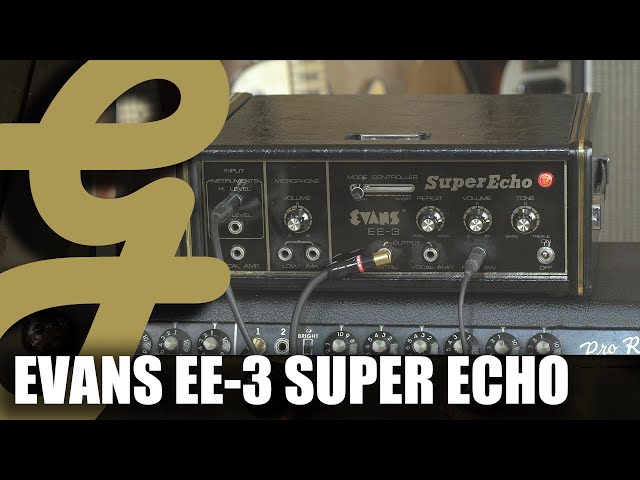 Vintage Evans EE-3 Super Echo - YouTube