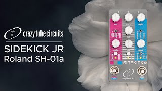 Crazy Tube Circuits Sidekick Jr｜ミュージックランドKEY