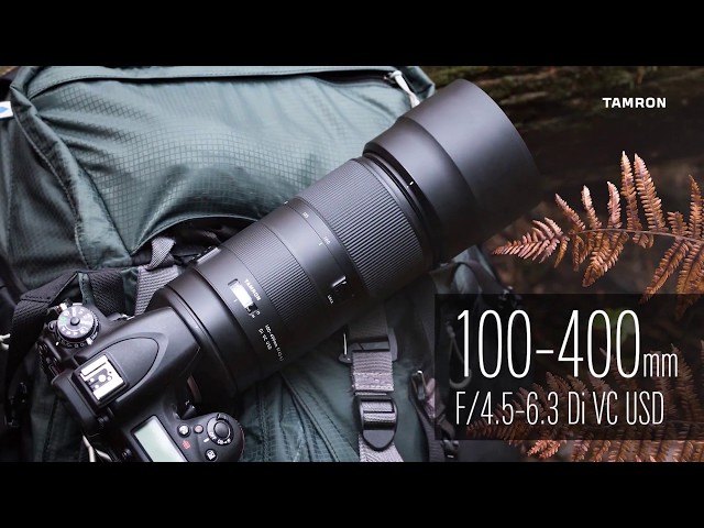 タムロン 100-400mm F/4.5-6.3 Di VC USD (Model A035) X 写真家