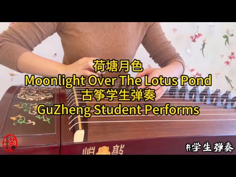 凤凰传奇- 荷塘月色Moonlight Over The Lotus Pond | 古筝翻弹GuZheng