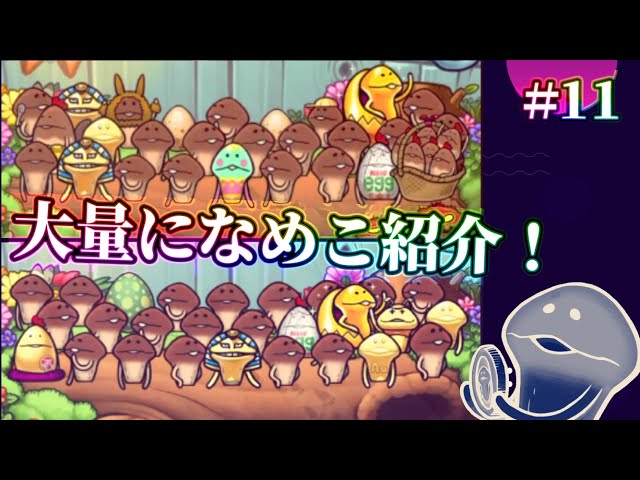 なめこ栽培】#11- 大量のなめこ達をツッコミながら紹介していくー