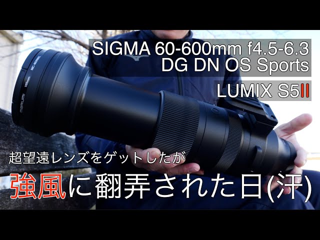 強風と大きなレンズ】SIGMA 60-600mm f4.5-6.3 DG DNを強風で使って