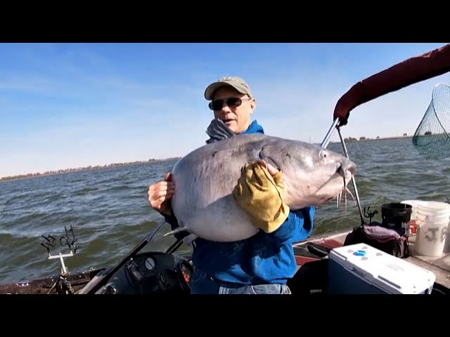 Fishing with the Zebco QUANTUM USA Reel New PB? - YouTube