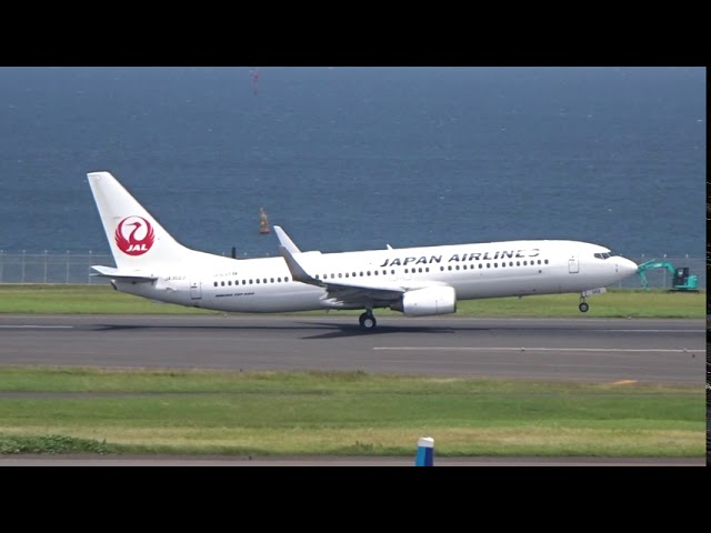 元JALエクスプレス機】B737-800 JA302J 羽田空港離陸 - YouTube