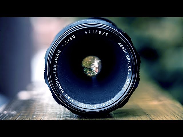 The BEST Budget Macro Lens - PENTAX SMC TAKUMAR 50mm Macro F4