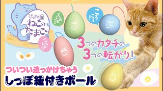 🐱タマゴ型のおもちゃに猫ちゃん大興奮❕❕ じゃれ猫 ねこのたまご
