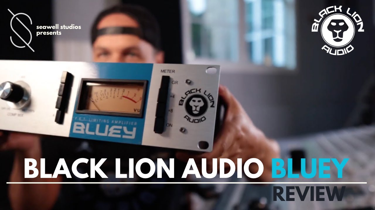 Black Lion Audio Bluey | Review - YouTube