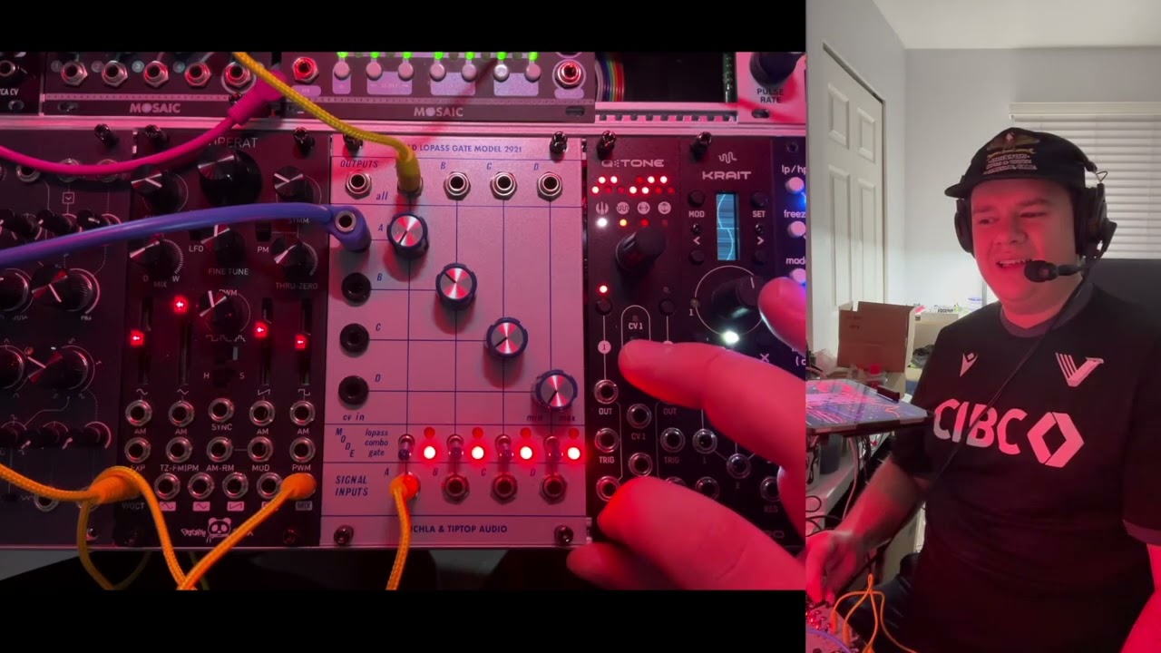 Rambling About: Buchla & Tiptop Audio 292T Quad Lopass Gate - YouTube