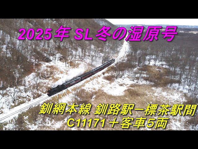 2025年1月31日 釧網本線 C11171 SL冬の湿原号 