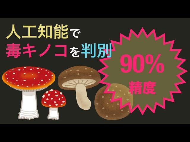 人工知能で毒キノコを判別しよう - #5 データセットから学習する - YouTube
