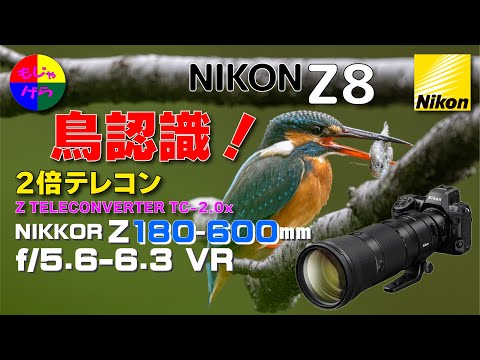 NIKKOR Z 180-600mm f/5.6-6.3 VR】 NIKON Z8 と超人気の望遠ズーム
