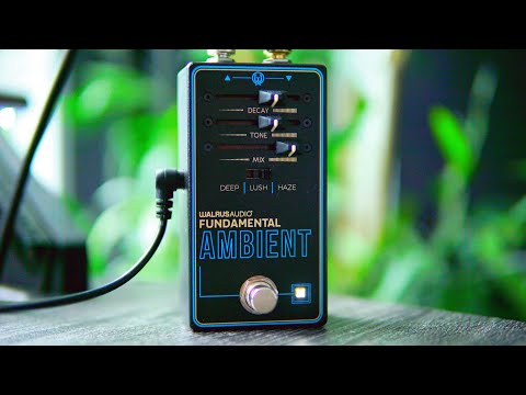 I Think I Found The Best Budget Reverb (Walrus Fundamental Ambient