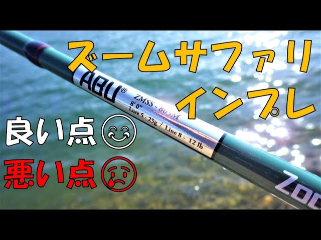 Zoom Safari 805M Review - YouTube