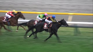 現地】2024 G2 東京スポーツ杯2歳S クロワデュノール 北村 友一【東京