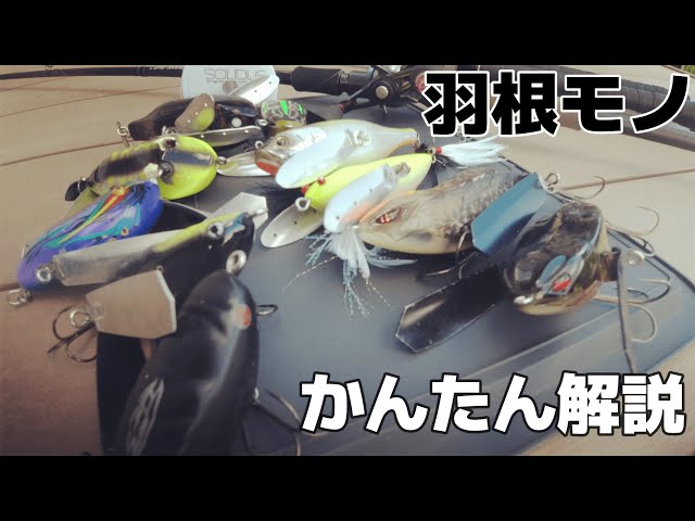 羽根モノルアーで釣るタックル紹介します【トップウォーター