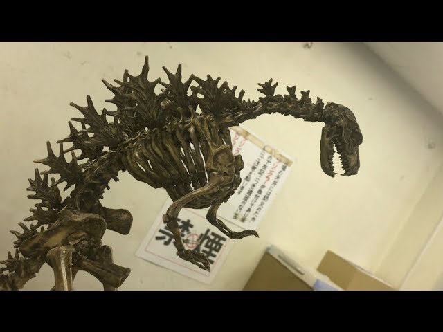 KWF2019 - Godzilla Skeleton Model by Takeya Takayuki 竹谷隆之