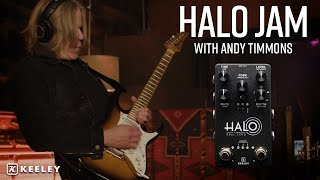 keeley Halo - Andy Timmons Dual Echo（キーリー） ディレイ アンディ