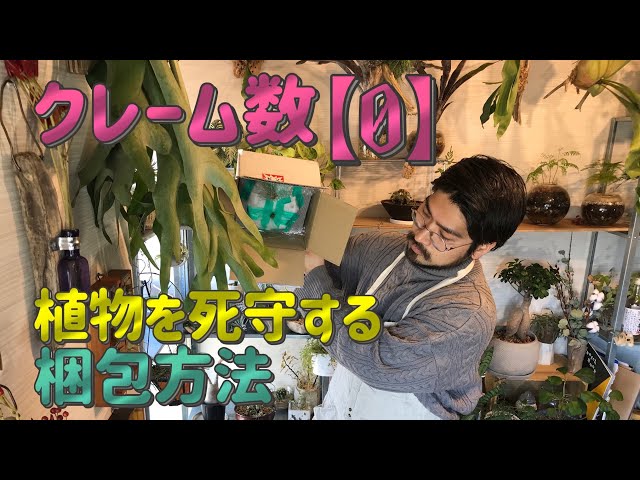 郵便局員も唸る!?鉢植え植物の梱包方法投げられても落とされても土が出