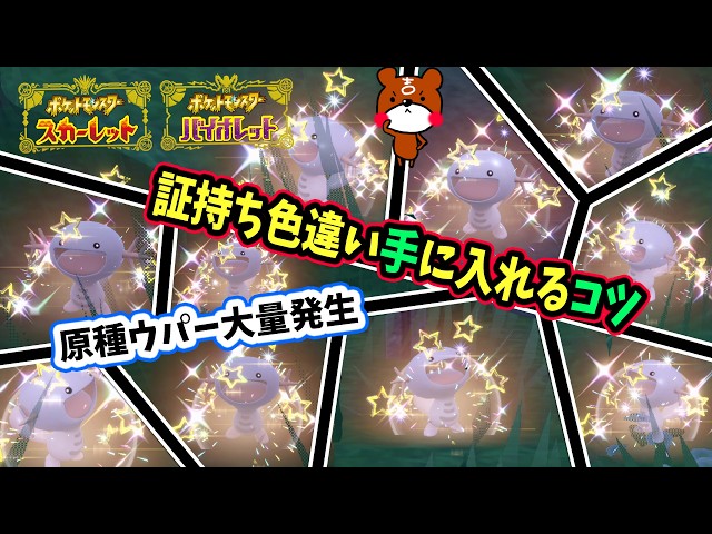 ポケモンSV】必見！原種ウパー大量発生！可愛い証持ち色違いウパー