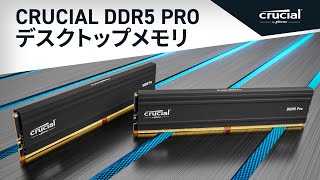 Crucial Pro 64GB Kit (32GBx2) DDR5-5600 UDIMM | CP2K32G56C46U5