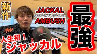 JACKAL AMBUSH] I threw it and was surprised at how heavy it was