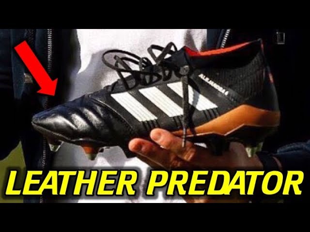 KANGAROO LEATHER PREDATOR 18.1 - Will They Ever Release? - YouTube