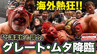 A mix of poisonous spiders and Taiwanese venomous snakes