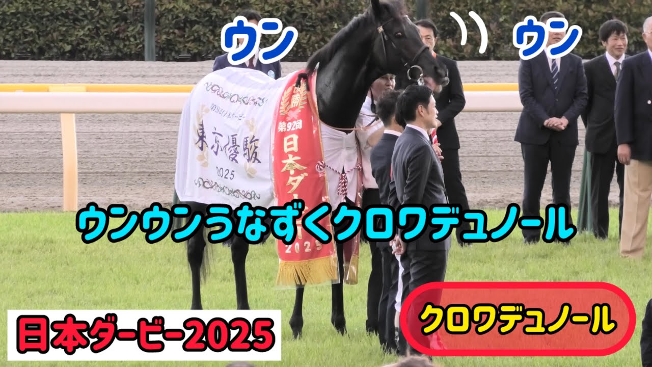 日本ダービー2025】勝ったぞ！ウンウンうなずくクロワデュノールが