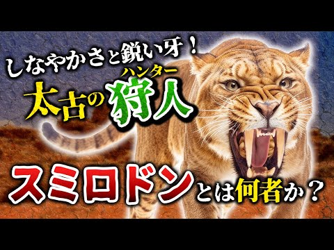 ゆっくり解説】太古の猛獣 スミロドン（サーベルタイガー）とは何者か