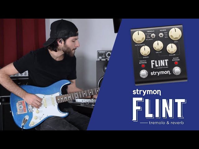 Strymon Flint | Classic 1960s Reverb & Tremolo 🚀 - YouTube
