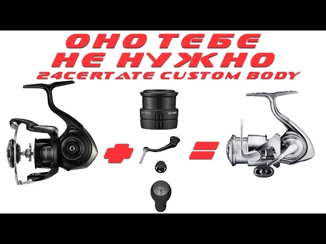DAIWA 24 CERTATE CUSTOM BODY | WHAT'S INSIDE? - YouTube