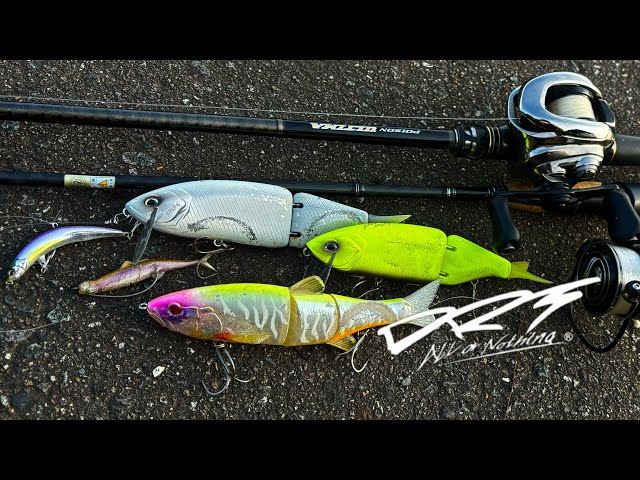 DRT タイニークラッシュ 夜用スーパー Amazon.co.jp: 限定 DRT