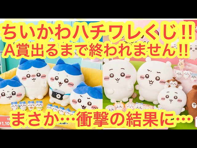 Chiikawa] The Hachiware Darake Lottery challenge won't end until