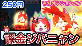 ぷにぷに 250円のジバニャンZをフル強化して遊んでみるお【つちのこ小