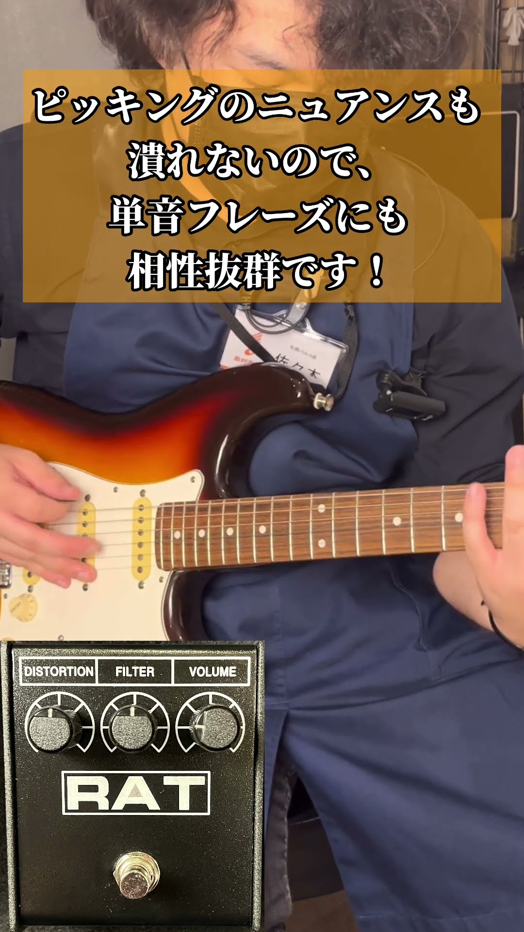 ProCo「RAT II」shortsでご紹介！ #shorts #島村楽器 #札幌の楽器屋