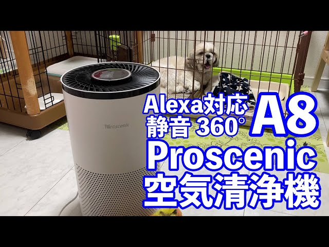 アレクサにも対応したWiFiで繋がる空気清浄機 Proscenic A8 - YouTube