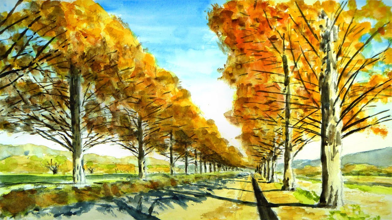 メタセコイア並木の紅葉と秋晴れの空 ／ 滋賀県高島市マキノ町 【透明