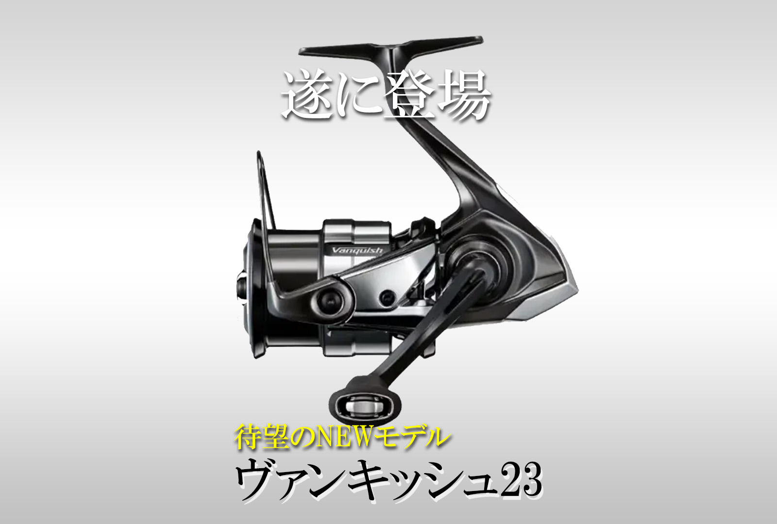 8089e50294910c6cb163e5cb54ad13