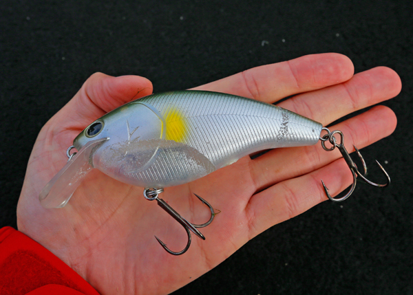 衝撃的破壊力のマグナムクランク・キムケン流ローテを全公開【KVD8.0