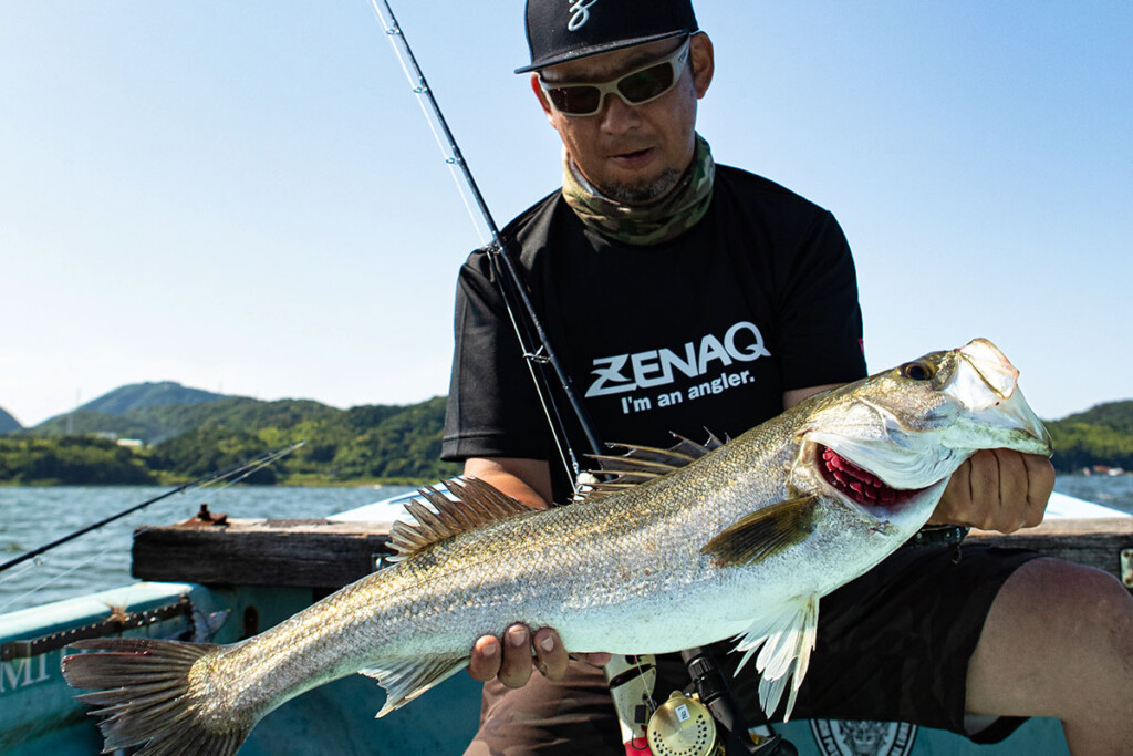 ジャイアントベイトでシーバスを獲る！ゼナックが贈るギガンティック