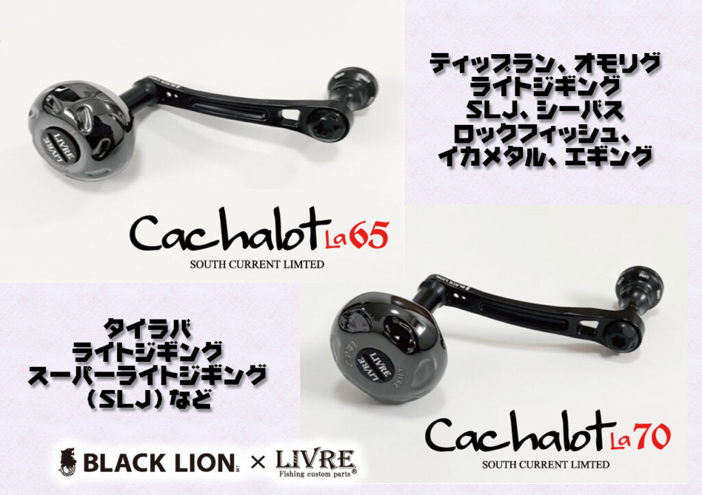 dfaad.jpg?fit=1024,722&ssl=1